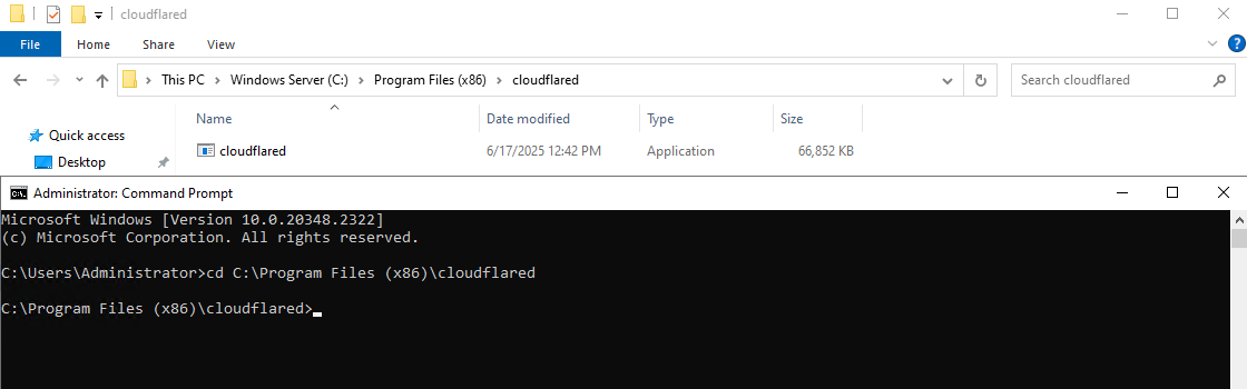 txAdmin Proxy Cloudflare | 1OF1 Servers Docs